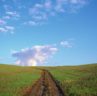 country_field_landscape_photo_EA52057 country_field_landscape_photo_EA52057